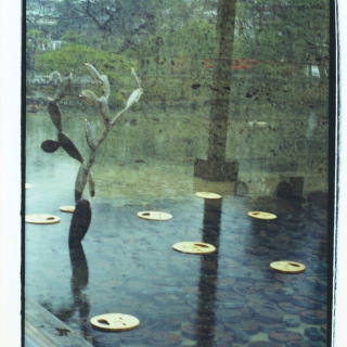 Shalechet on Water (Kamakura - 2001)