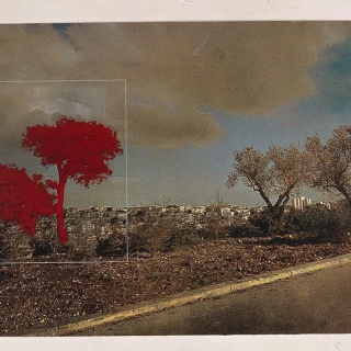 print_painted_tree2_red