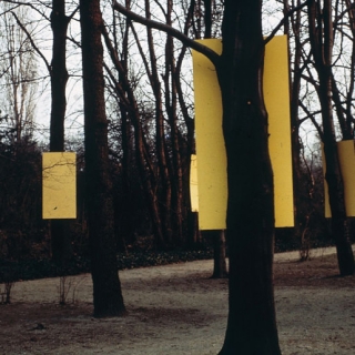yellow_forest_9